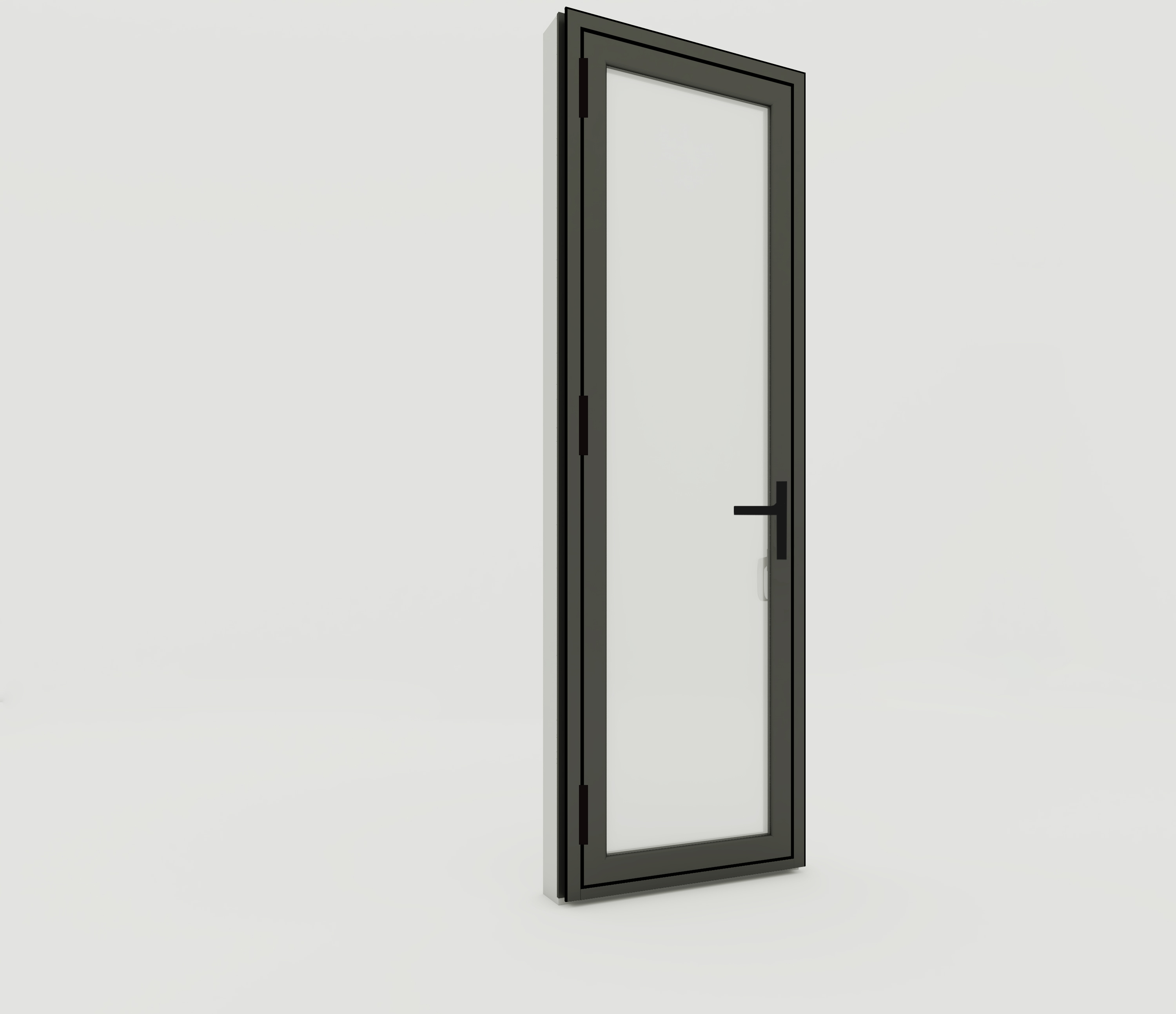 Hinged Door image 2